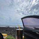 영락리 | 제주 돌고래 스팟 시간 영락리방파제 성공 후기