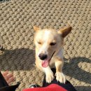 세영자원 이미지