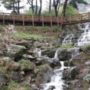 봉수산 자연휴양림 티스토리