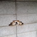 근원농장 이미지