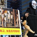 박정호농장(1농장) 이미지