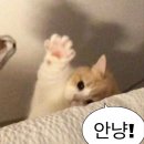 스시야 | [창원] 대방동 숨은 스시 맛집 | 가성비 갑 “철이네 스시야” 점심특선 후기