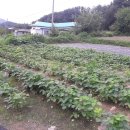 대지부동산중개사무소 이미지