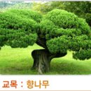 대구효신초등학교 이미지