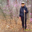 태조산 공원 이미지