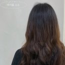 로미 펫 살롱 | 미사미용실 블랑로미 채원쌤 좋아요 가벼워졌어요~