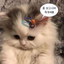 아놔뽑기방 | So Soo Bin 소소 뒤풀이 버스킹 공연 후기 (+소수빈 생일 카페 방문기❤️)