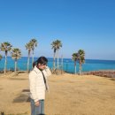 샾 엘레펀트