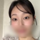 어도러블 | 올리브영 여쿨 블러셔 추천 프레시안 어도러블 발색 가격 후기