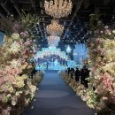 사랑모아결혼정보 이미지