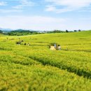 충장로8L 이미지