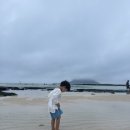 서쪽아이 이미지