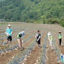 NH농협은행장성지점 이미지