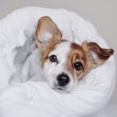 투게더 동물병원 이미지