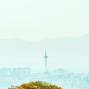 지구인력 - 예산군 청사로 225 | 지구인력