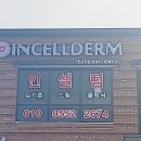 인셀덤명품피부샵
