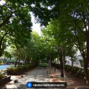 GS25 구로미성 | 구로구 임장: 구로 고척 신도림 #구로주공 #구로현대...#대림이편한세상 #신도림미성 #디큐브시티