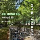 장태산자연휴양림캠핑장 | [대전 여행] 메타세쿼이아 숲에서 즐기는 산책, 아이들과 가볼한곳, 장태산 자연휴양림 후기