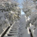 미암공원 이미지