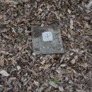 곡성-143 이미지