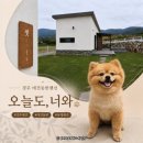두리펜션 | 경주 애견펜션 추천 오늘도너와 독채 마당 2박 3일 솔직후기 (feat. 경주 애견동반 갈만한 곳)