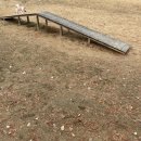 기흥레스피아 축구장화장실 | 기흥레스피아 반려견 놀이터 후기