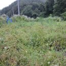 재만농장 이미지