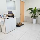 젤리펫살롱 이미지