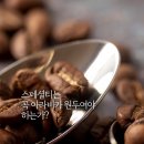 수상한원두 티스토리