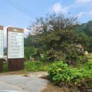 가든테라피펜션 이미지