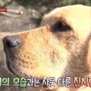 땡이농장 이미지