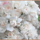 사람이 꽃보다 아름 이미지