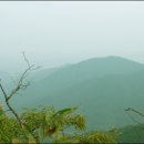 지재농장 이미지