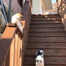 여수 메종블랑쉐 펜션 이미지