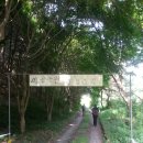 안산동(시경계) 이미지