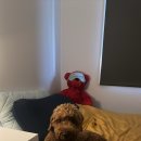 K-TOP MOTORS 이미지