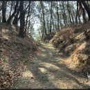 신무마을 | 희강왕릉과 전.민애왕릉