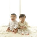 쌍둥이 이미지