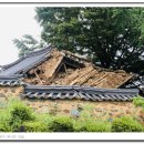 창녕 팔락정 이미지