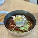 유가네닭갈비화명점 | 여름이면 생각나는 밀면 손만두 부산 현지인 추천 화명동맛집 명가밀면