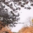 중산공원 이미지