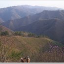 상남06-2 이미지