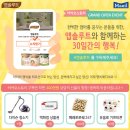 카카오스토리 이미지