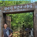군산매화56회차9월13일 감악산아스타국화축제장 무장애길 트래킹예약안내 이미지