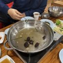 냉수농장 이미지