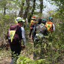 수원팔색길 여우길 이미지