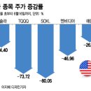 동학개미,서학개미 폭망 챠트 이미지