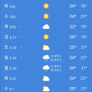 일레븐마트 선경점 | 섬 안의 섬 , 우도 비양도 백패킹 ෆ⃛