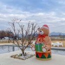 [전주 카페] 12. 2주 차. 포랩스 커피 컴퍼니 본점 후기