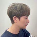 컬러리프 이미지